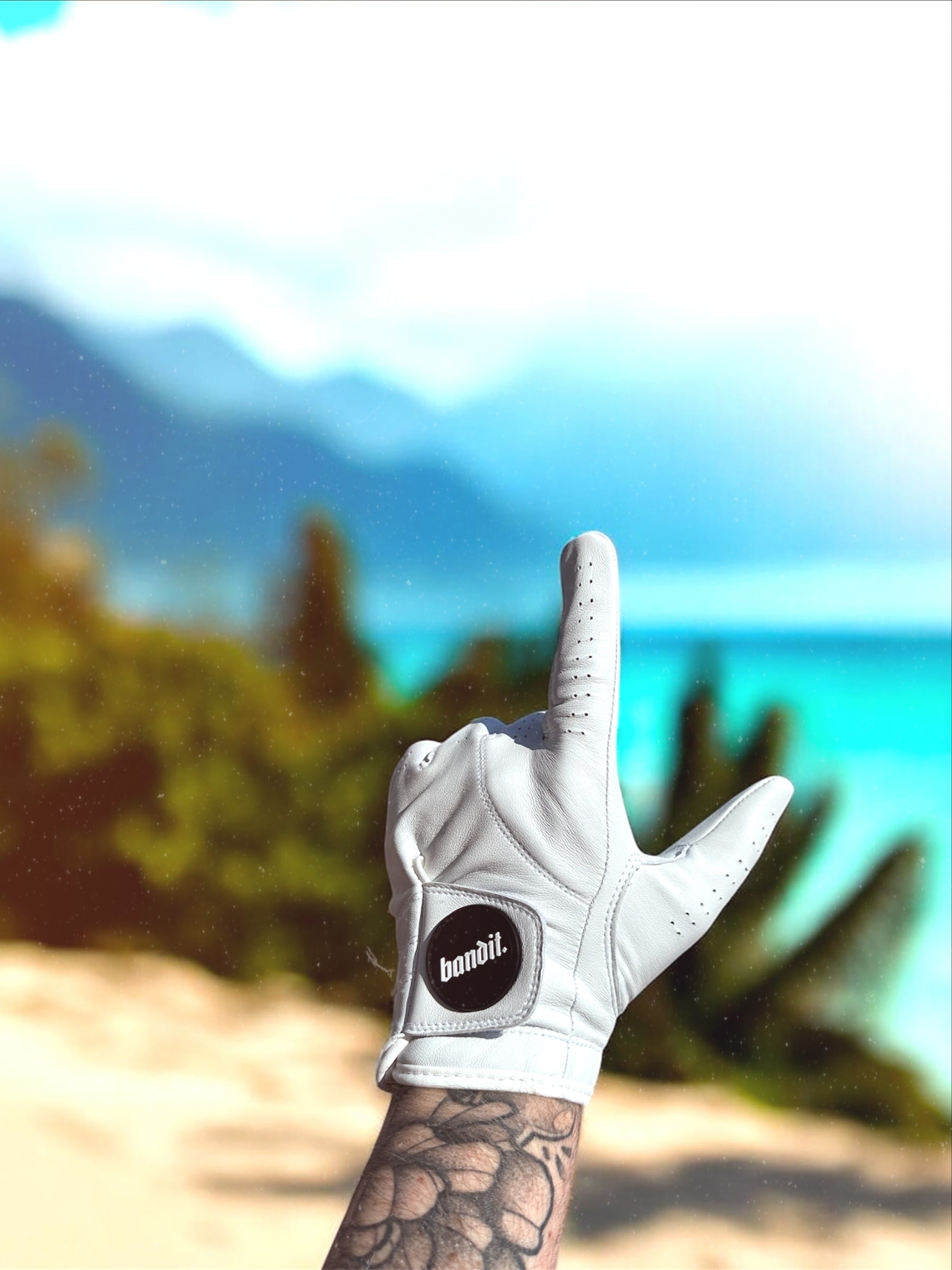 Gloves & Accessories