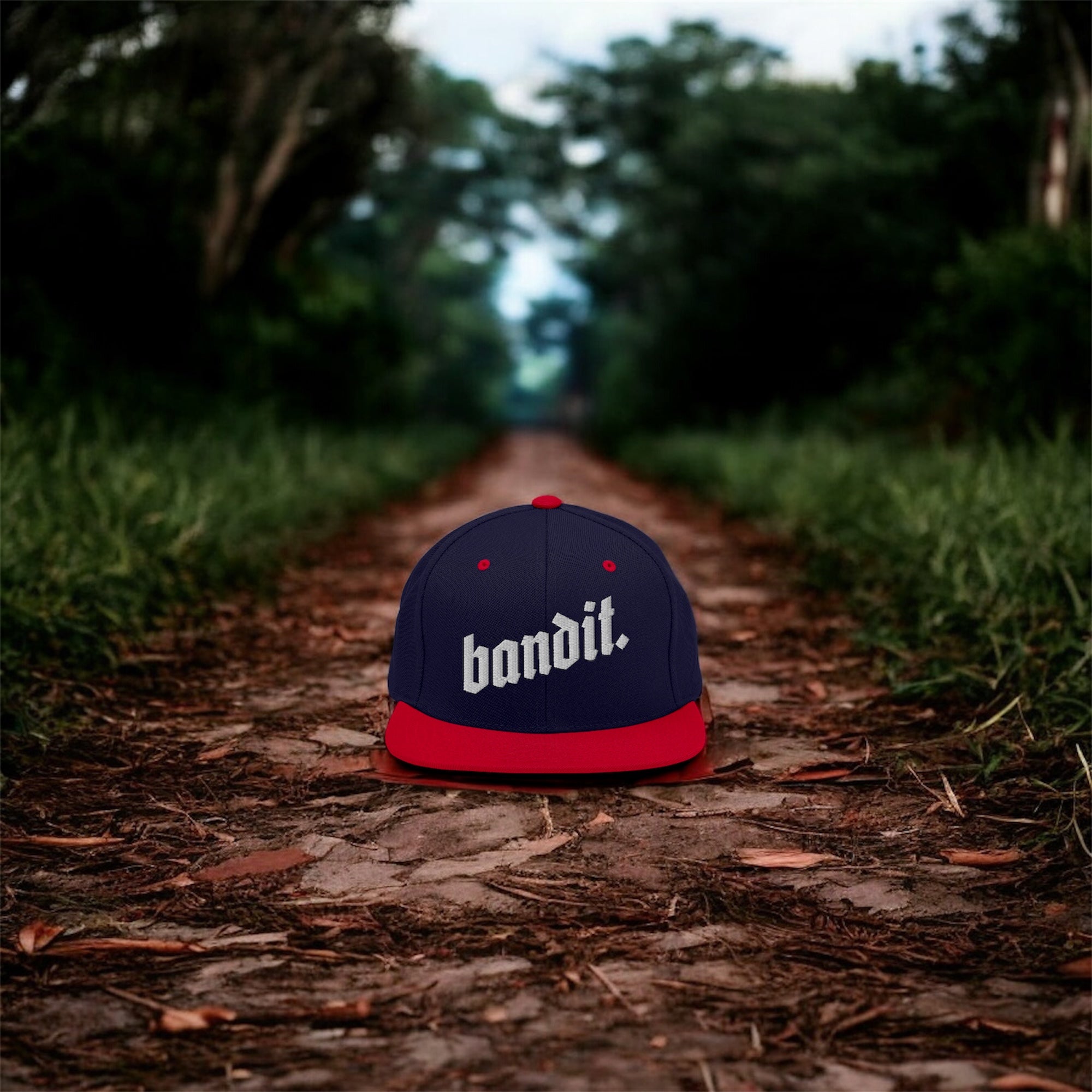 Heritage Tricolour Snapback