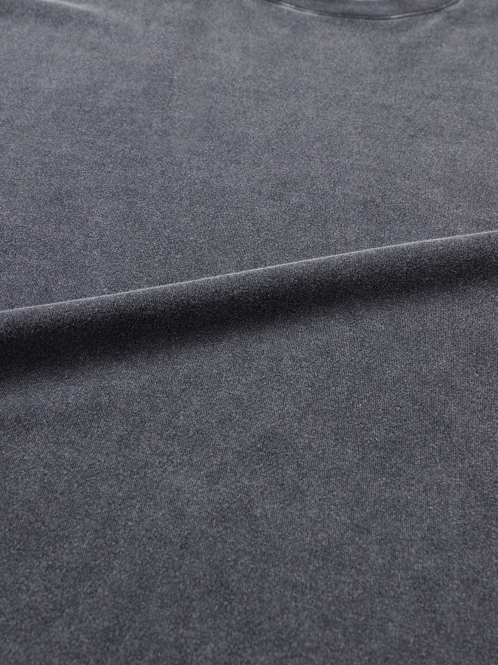 The Banditfur T-Shirt - T-Shirt -